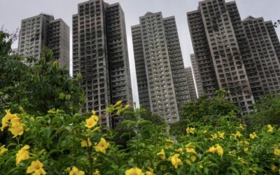 Supplier says subcontractor ordered non-fire-retardant nets before Tai Po blaze