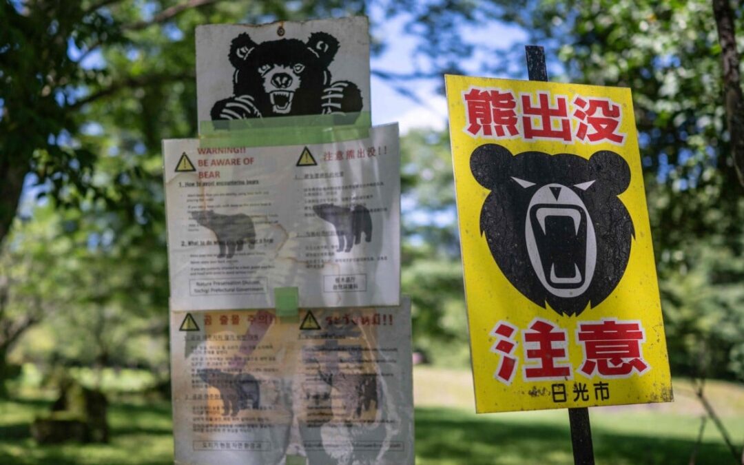 Bears and pest control: how Japan is spending its departure tax windfall