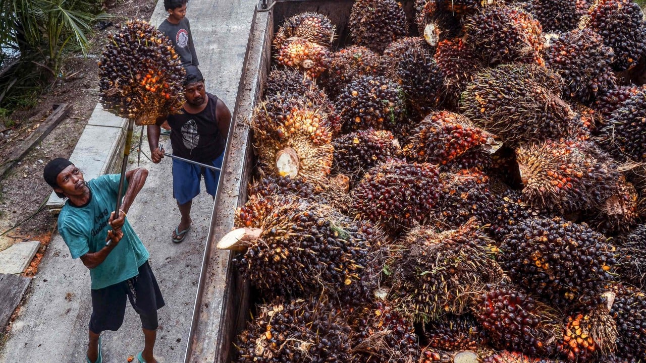 Indonesia takes on Malaysia in battle over palm oil pricing