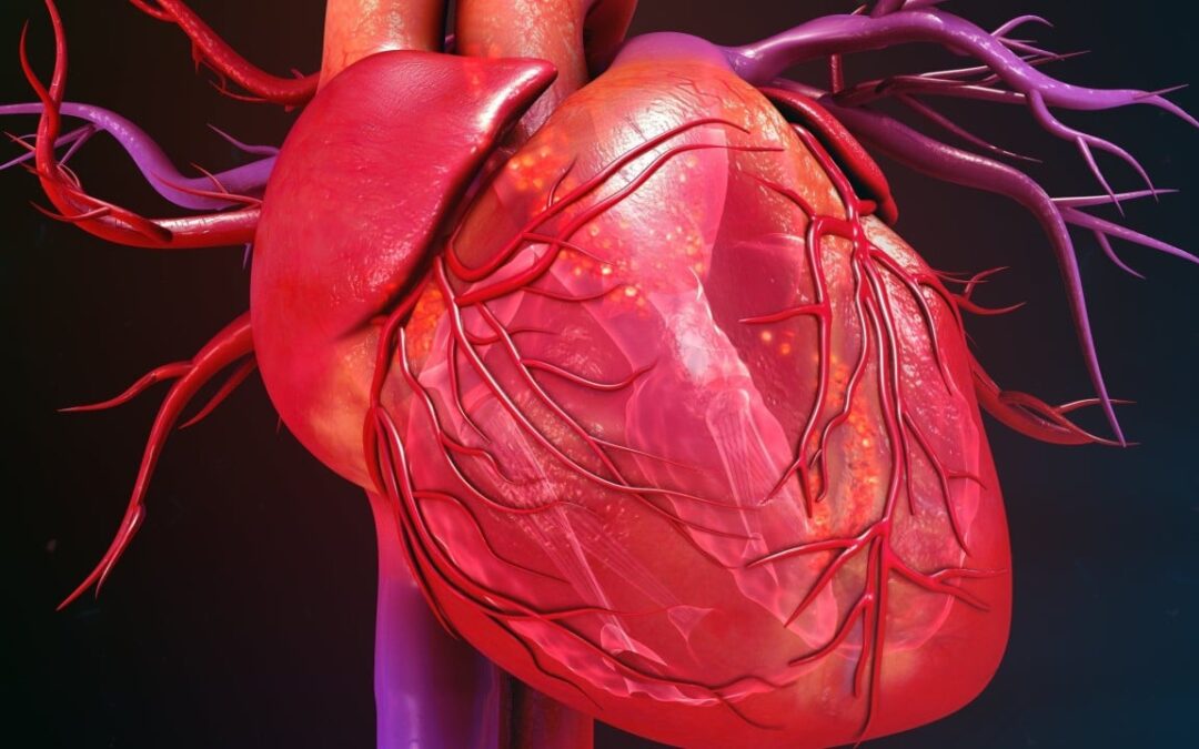 Chinese stem cell therapy reverses heart failure in 90% of patients in landmark trial