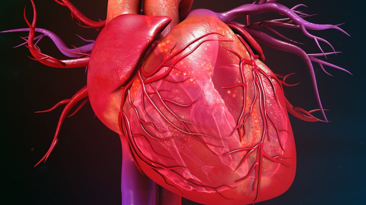 Chinese stem cell therapy reverses heart failure in 90% of patients in landmark trial