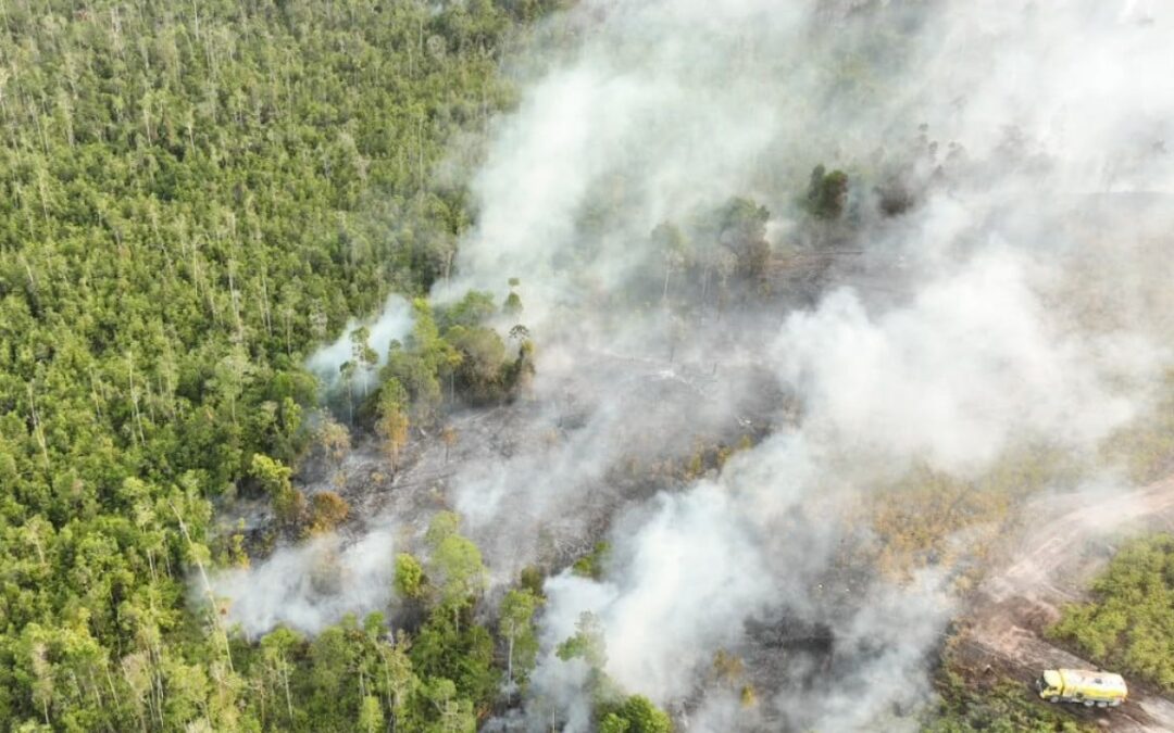 Indonesia arrests 72 suspected of starting forest fires as haze persists