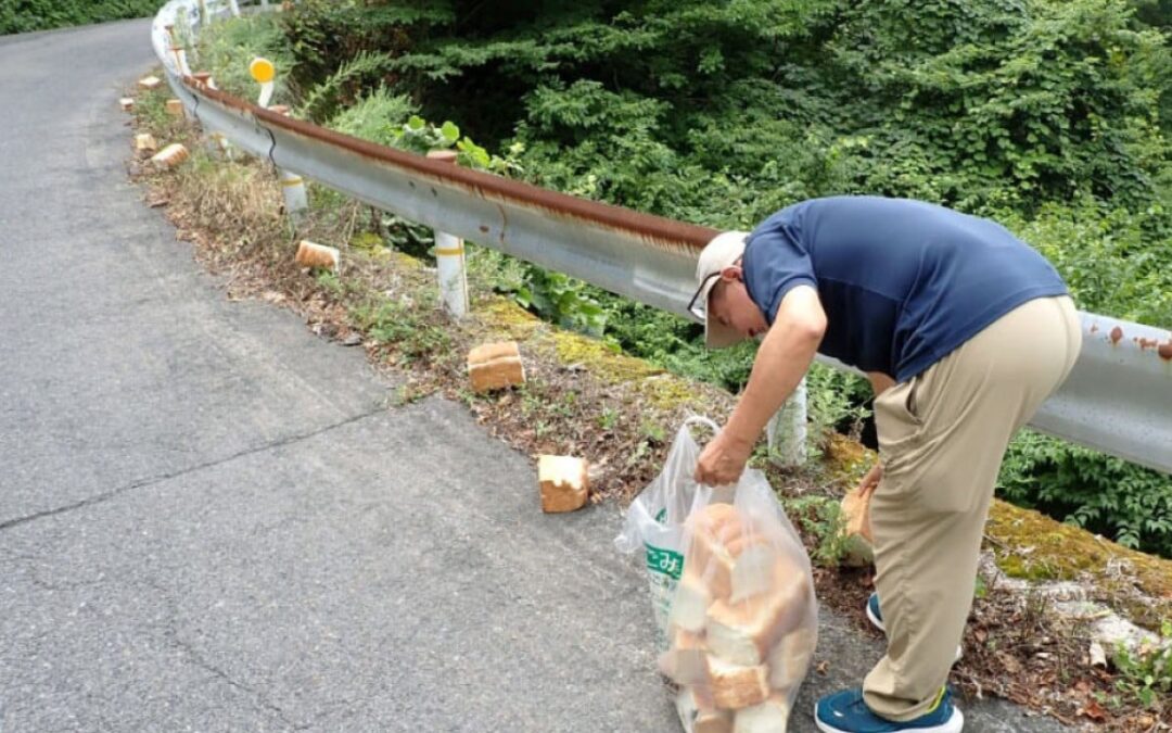 Japan probes 39kg of bread dumped in national park