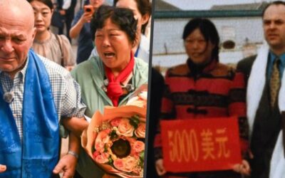 ‘Green miracle’: US teacher returns to China after 26 years to find donation grew into forest