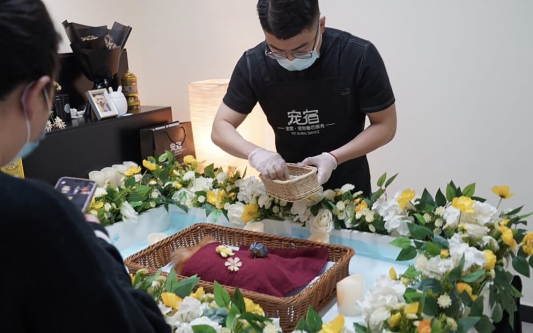 China’s billion-dollar pet funeral industry stays largely unregulated without public oversight