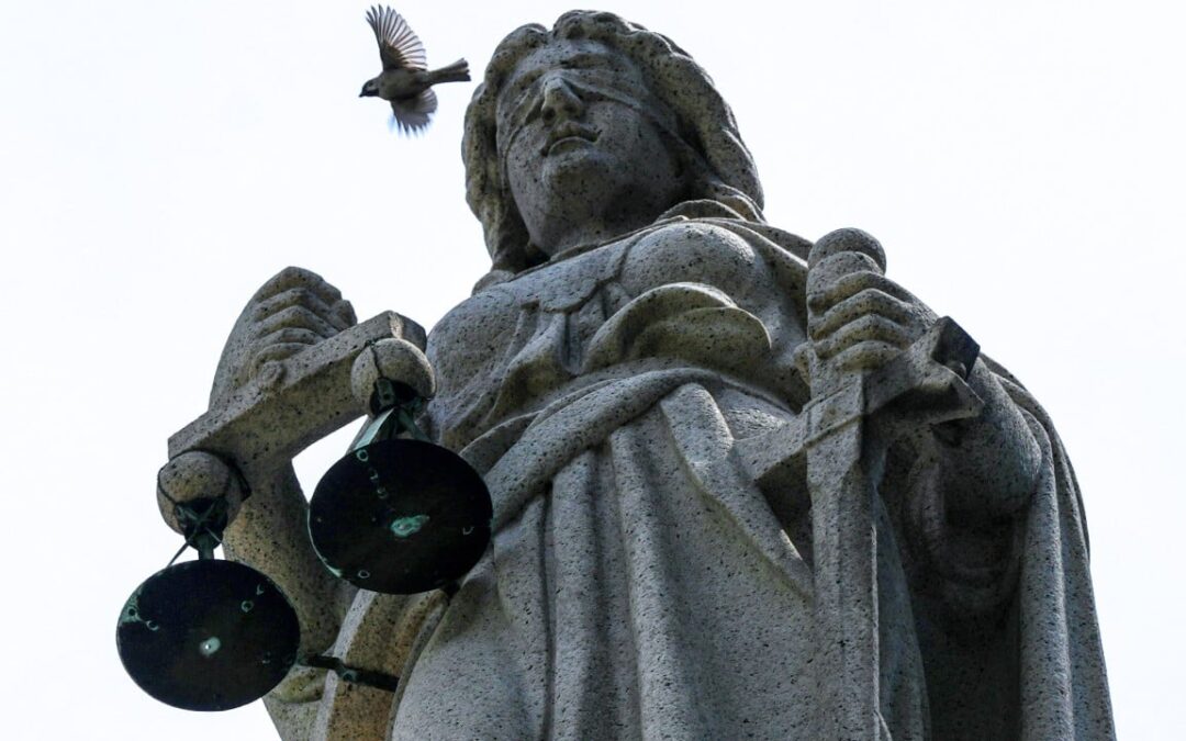 Legal aid chief denies stricter vetting as aid for policy challenges hits decade low
