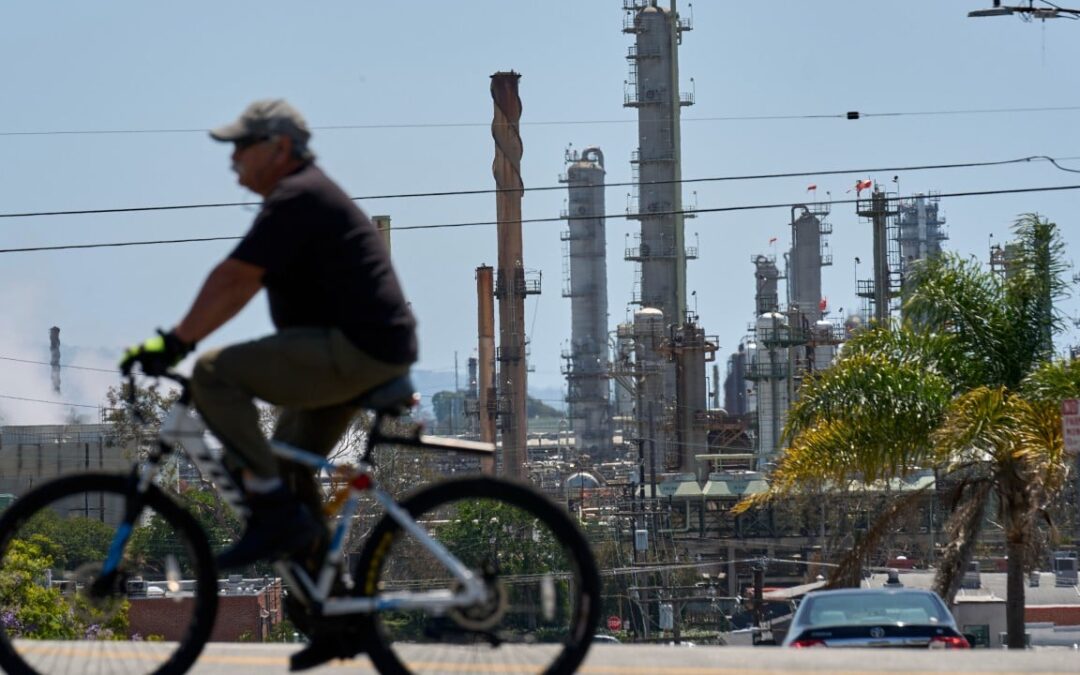 Trump puts pressure on squeezed US oil refiners to ease pump prices
