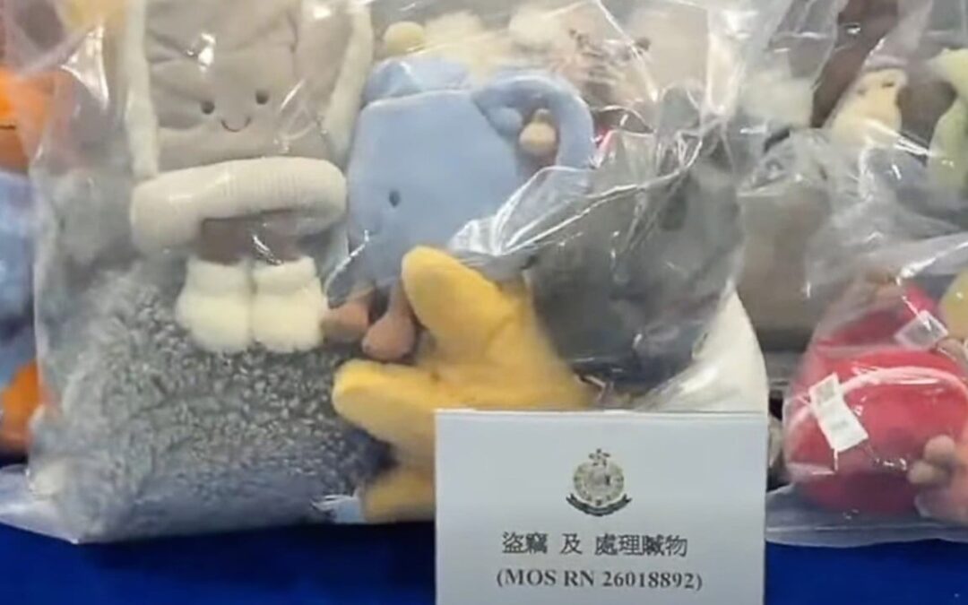 Police arrest 3 over HK$70,000 Jellycat claw machine shop theft