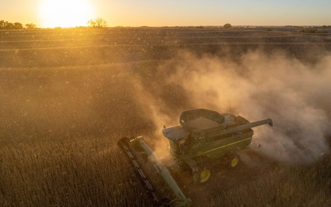 ‘Missed opportunity’: US soybean farmers question exclusion from China tariff cuts