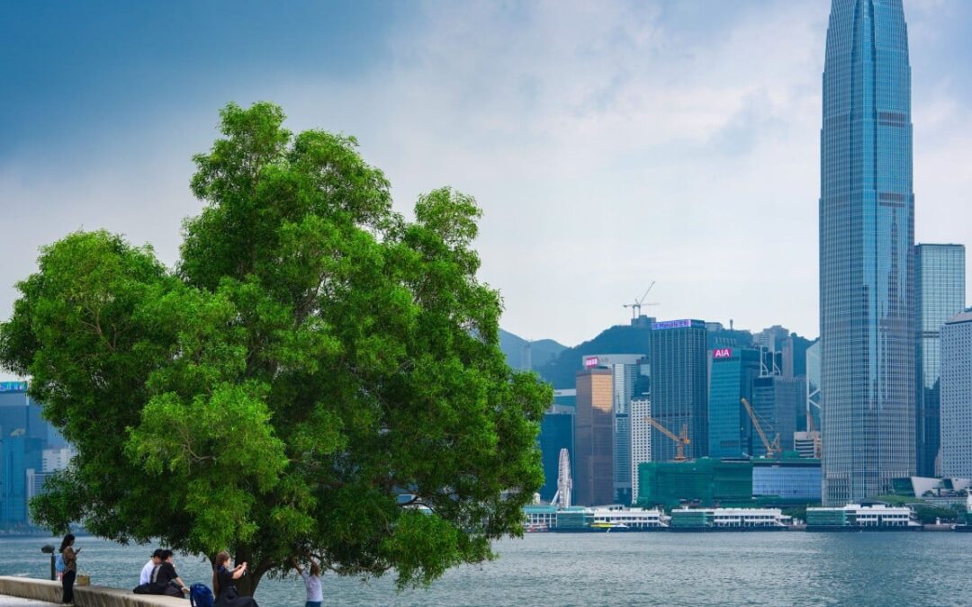Chinese firms’ green-tech expansion hinges on Hong Kong, senior bankers say
