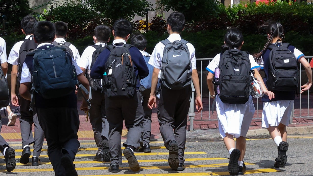 Hong Kong to offer ‘attractive’ merger deals for schools beyond those struggling