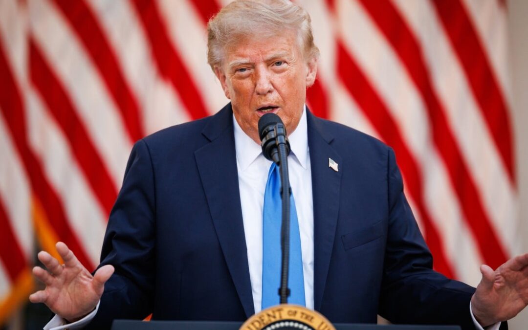 China rivalry ‘no excuse’: US Democrats allege corruption in Trump’s mining deals