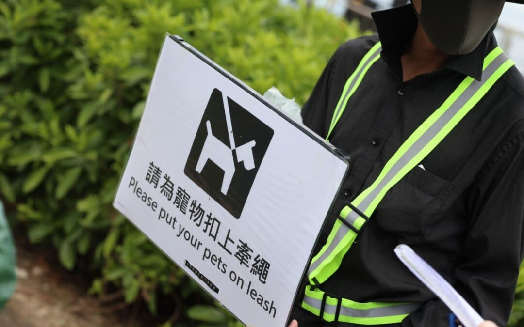 Safety or hostility? Dog owners split over Hong Kong’s crackdown on leash rules