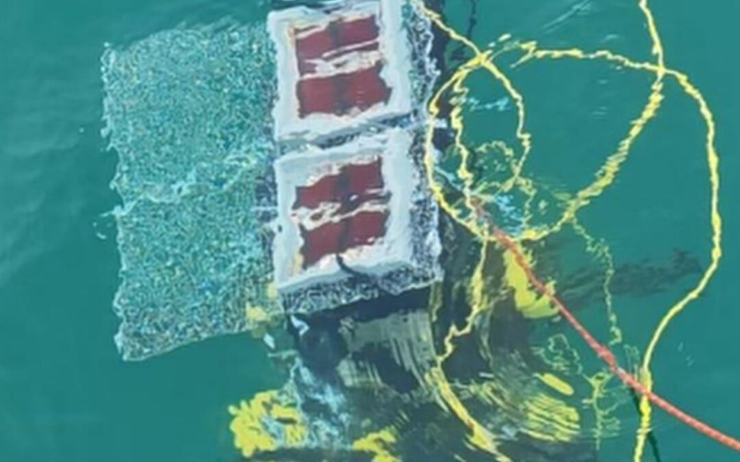 China tests first practical submarine solar power plant at 10-metre depth in the open sea