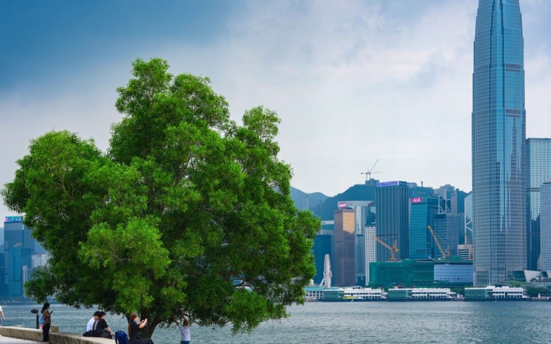 Hong Kong lacks a climate narrative to unify its efforts