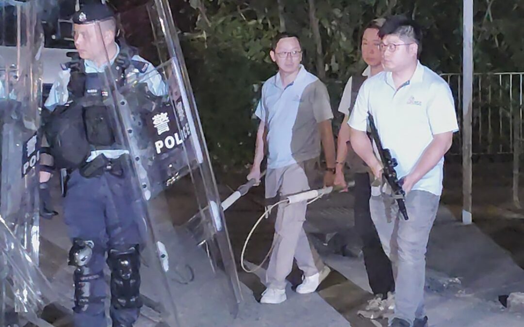 3 stray mongrels captured after cyclist dies in suspected dog attack