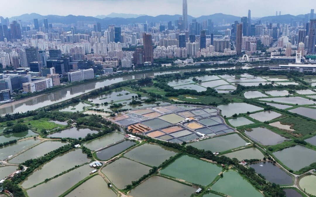 John Lee urges banks to finance city’s tech growth, expand offshore yuan business