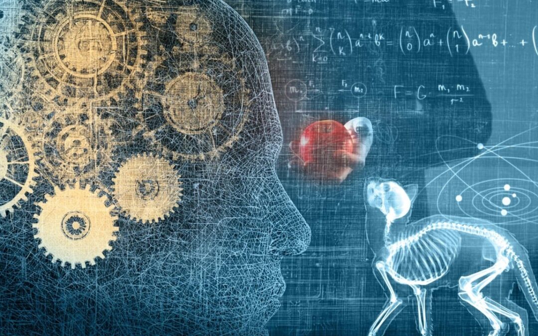 Cats and mind-full mechanics: what happens when quantum physics meets the brain