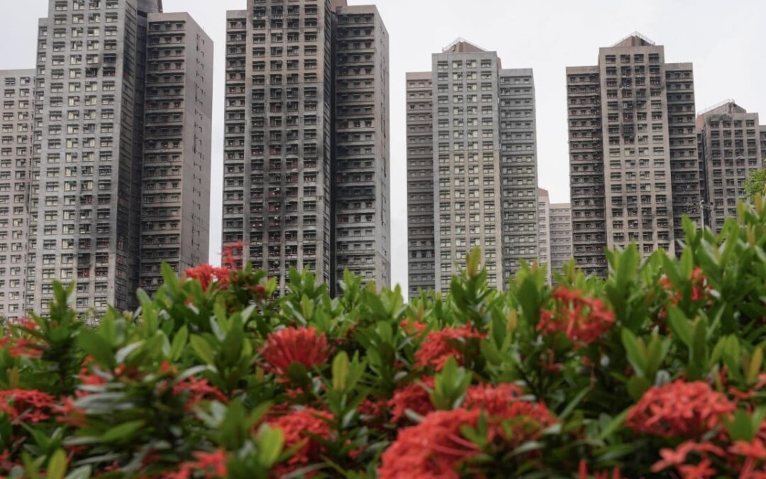 Hong Kong leader pledges building maintenance reforms after fatal Tai Po fire