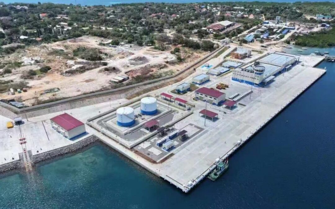 How a US$110 million fishing harbour in Tanzania serves China’s food and security goals