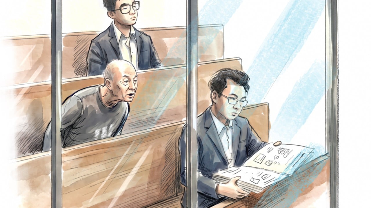 A fortune, a HK$72m flat and a family feud: inside the Abby Choi murder trial