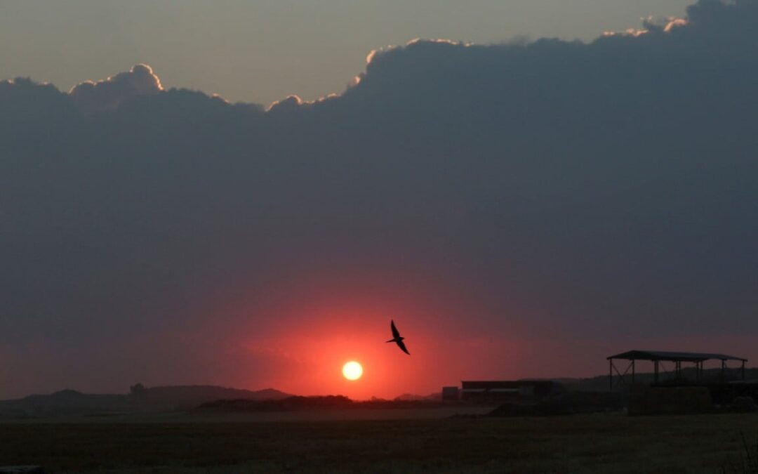 EU wants to track potential rogue efforts to block out the sun