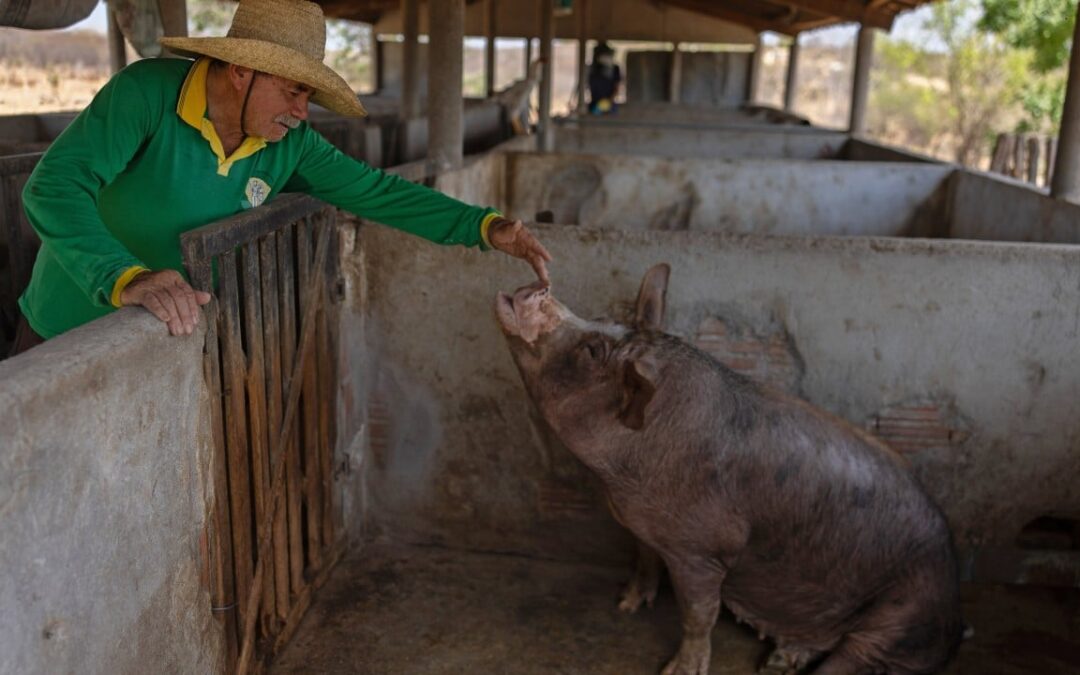 Brazil’s family farming backbone embraces Chinese AI to reverse vital sector’s decline