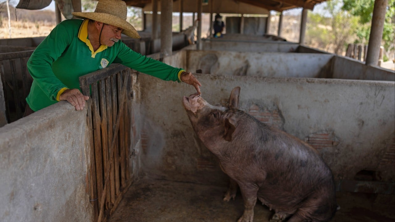 Brazil’s family farming backbone embraces Chinese AI to reverse vital sector’s decline