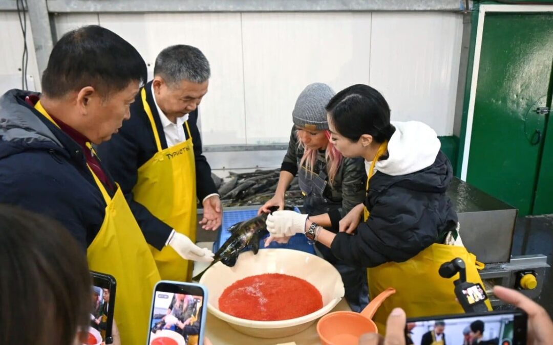 Chinese business visit to Kuril Islands will do nothing to ease tensions in Tokyo