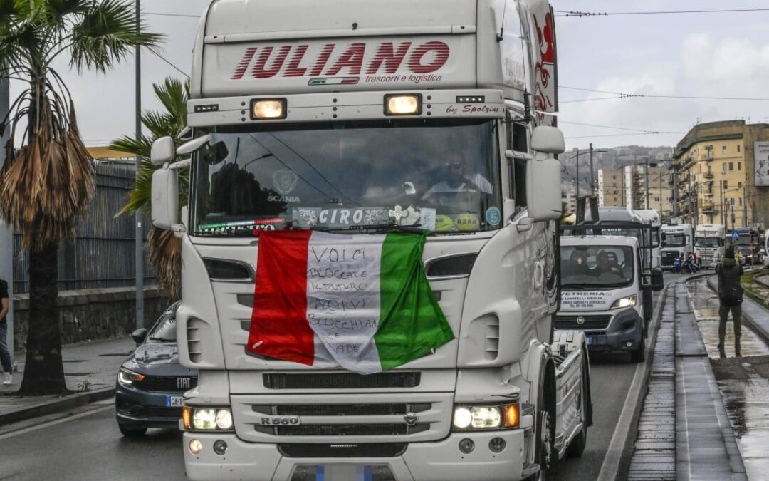 Millions in cheese revenue lost as protest hits Italy’s buffalo mozzarella output