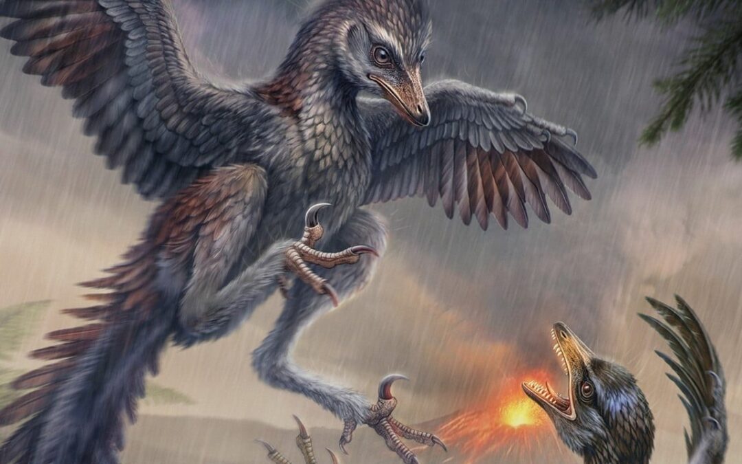 Sorry, Darwin: Chinese fossil shows that not all early birds evolved to fly