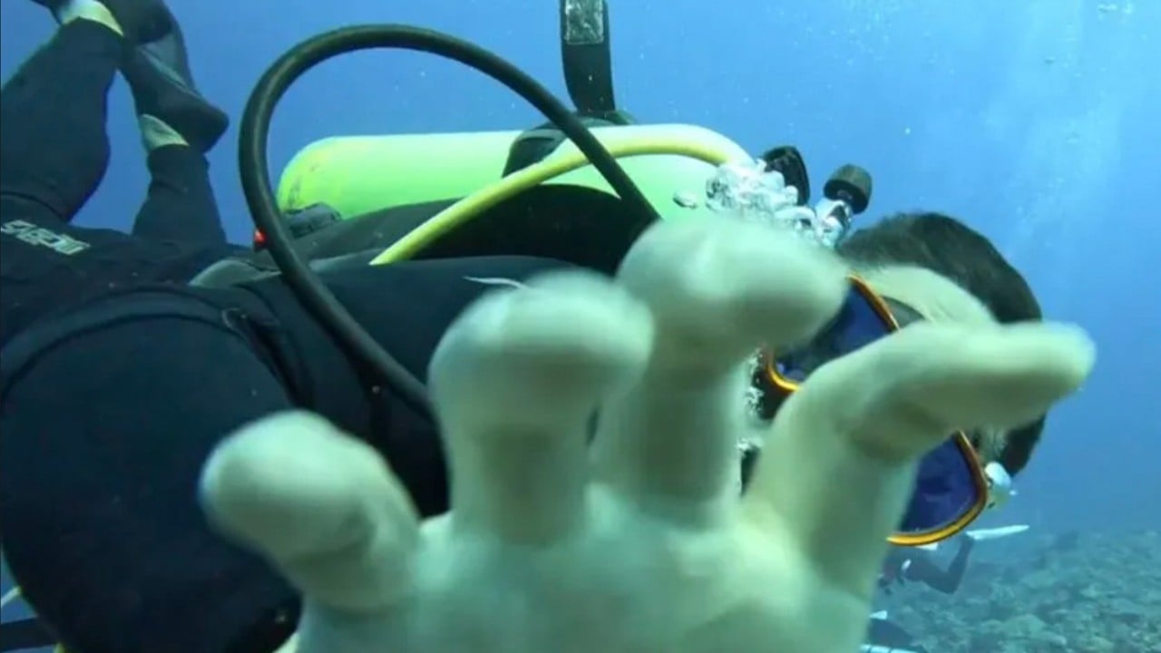 ‘Outrageous’: Taiwan Mandopop band member allegedly assaulted by South Korean diver underwater
