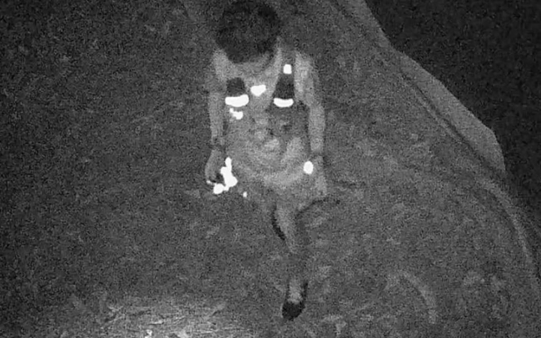 Man arrested over suspected rat poison in stray cat food at Kowloon park