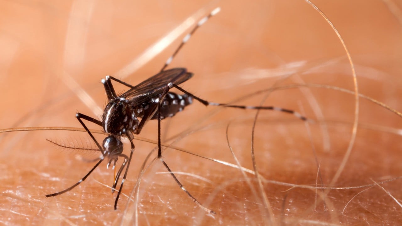 Chinese start-up behind laser mosquito killer plans to start shipping orders this month