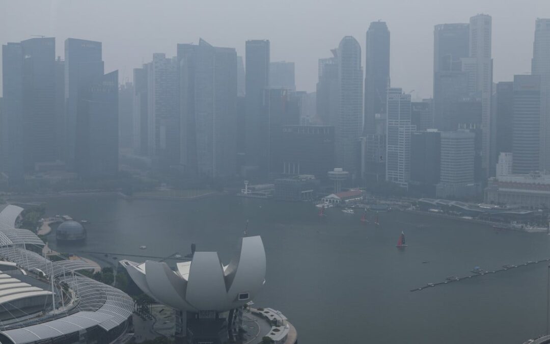Singapore tops global air pollution ranks again, rolls out haze subsidies