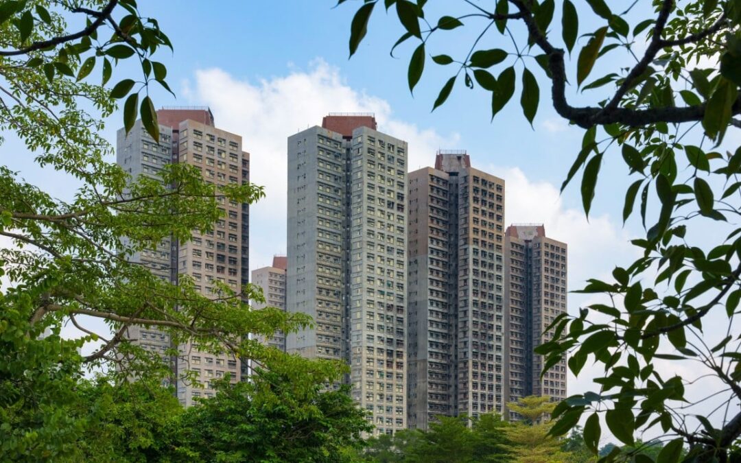 Tai Po fire report to be submitted on Thursday, with scathing submission endorsed