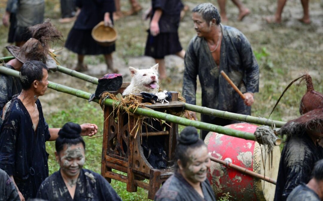 Why China’s heritage-listed Dog-Carrying Festival honours canines as sacred lifesavers