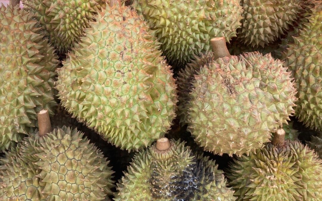 Could Thai durian export duty mean higher prices, higher quality in China?