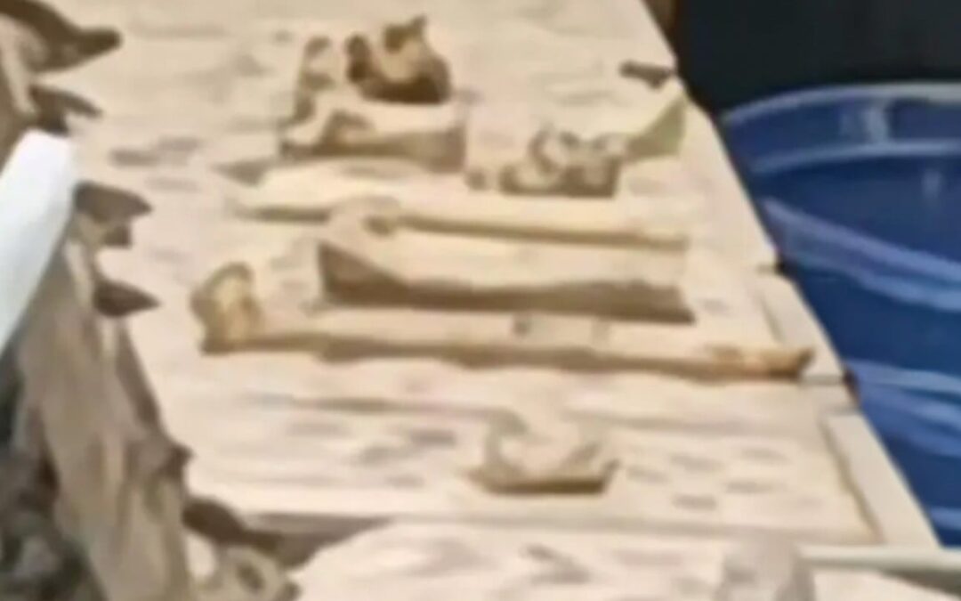 Chinese man arrested after fabricating rooftop child grave hoax above residential flat