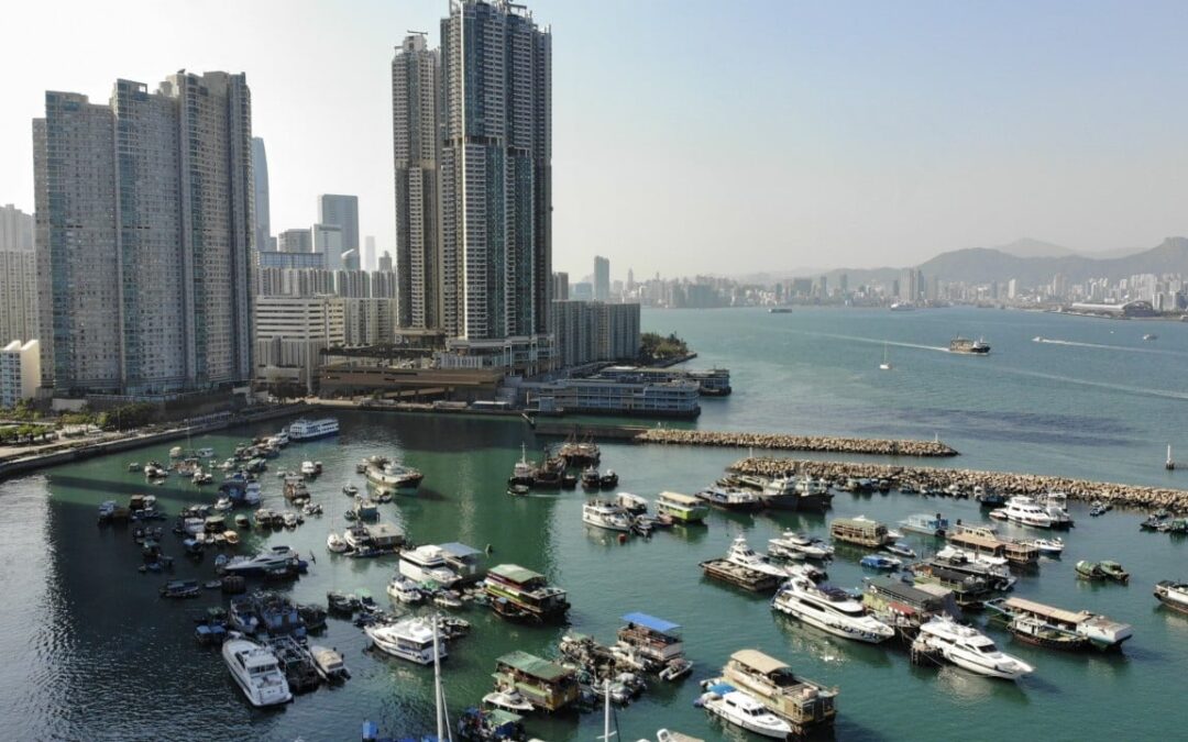 Hong Kong police arrest woman after dog allegedly thrown into sea