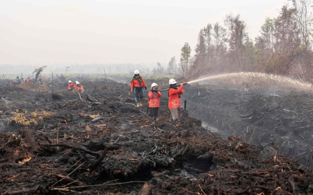 Indonesians turn to eco-art as haze sparks anger and diplomatic tension