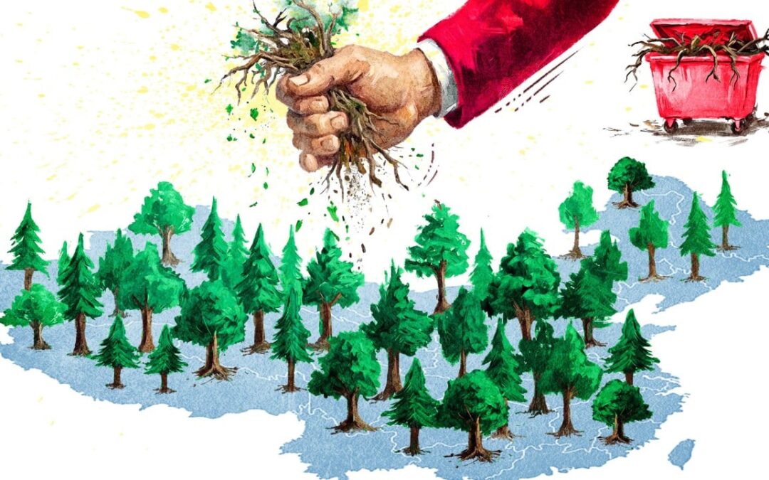 What will China’s fifth plenum mean for the root-and-branch corruption drive?